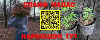 молекула духа Ливны