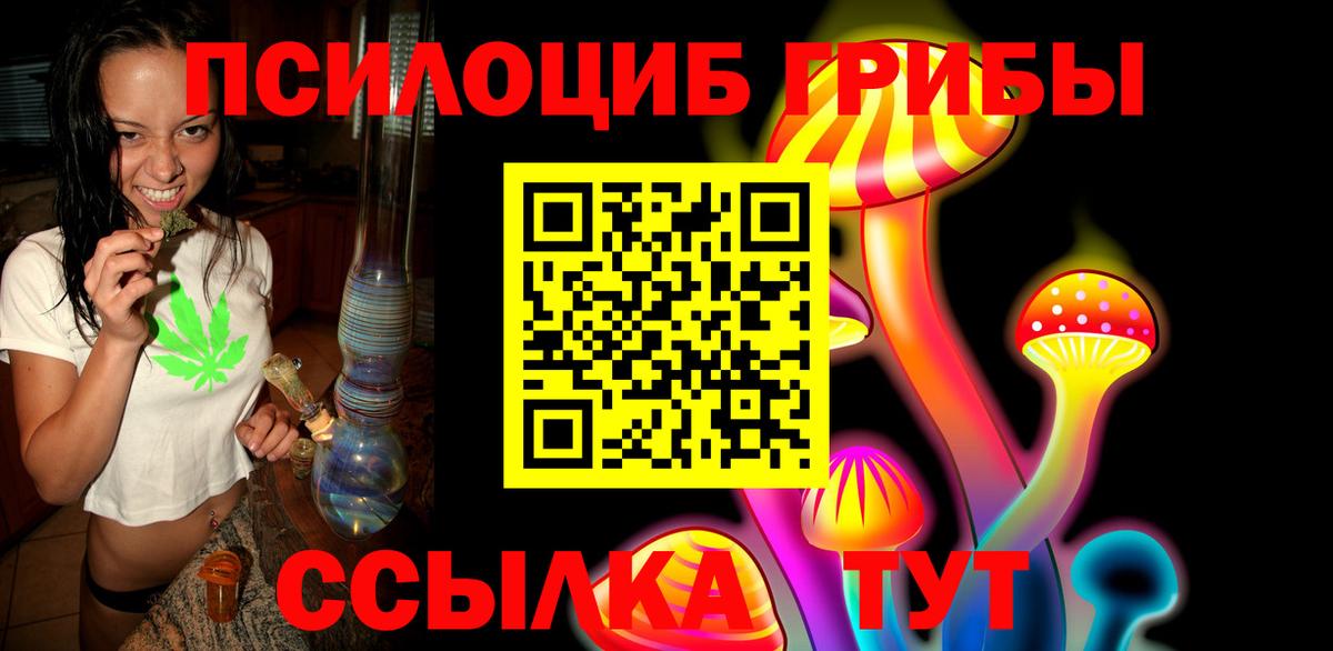 Псилоцибиновые грибы Psilocybe Кемерово