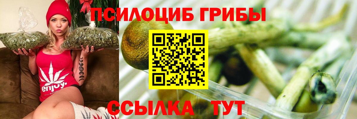 Галлюциногенные грибы Magic Shrooms  купить наркотик  Кемерово  Вход с VPN 